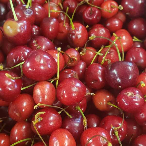 Buy Fresh cherries in Nowra at Food Markies online market