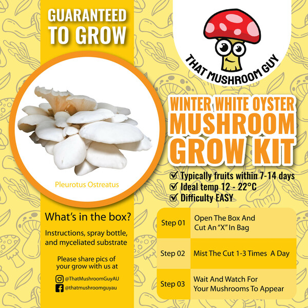 Winter White Oyster Mushrooms Grow Kit