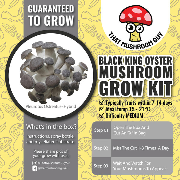 Black King Oyster Mushroom Kit
