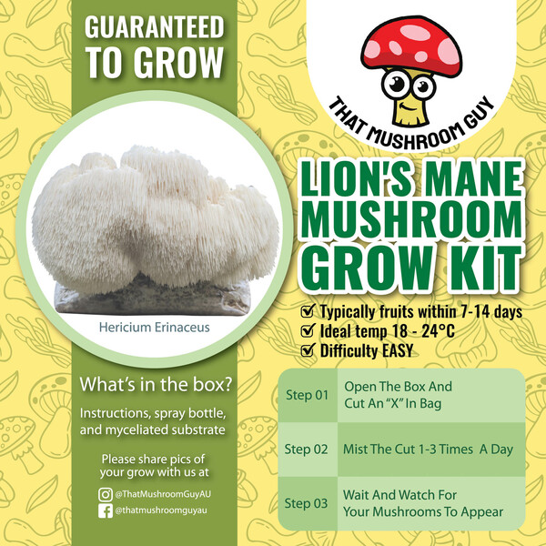 Lion's Mane Grow Kit