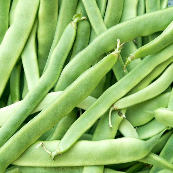 Buy farm-fresh green beans at Food Markies online market in Nowra