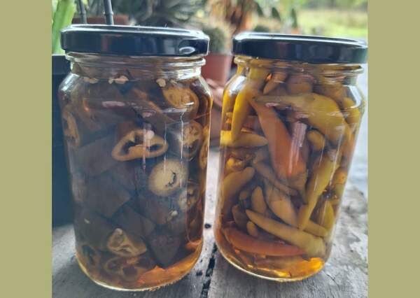 Buy Hot Chillies in Vinegar from Local producers in Nowra